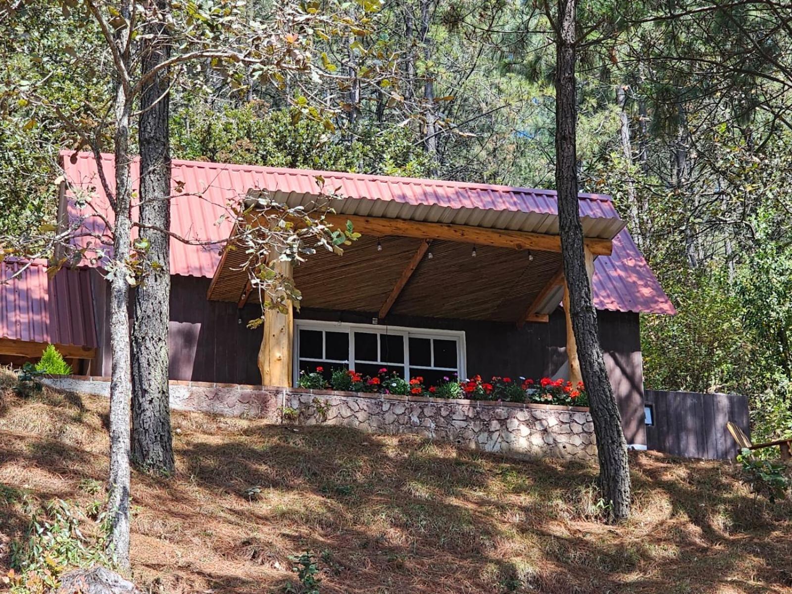 Tecpán Guatemala Finca Chuchiya Cabanas Tecpan מראה חיצוני תמונה